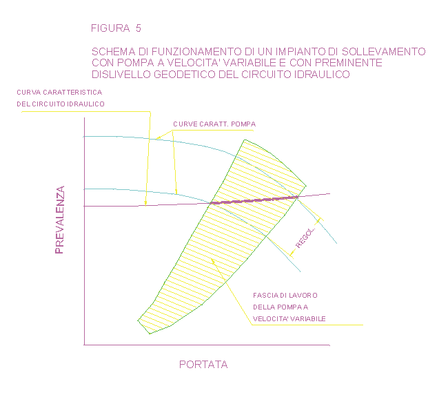 Figura 5